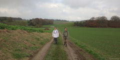 Longueil (Chemin)