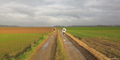 Offranville (Chemin)