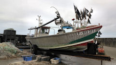 Quiberville (Doris)