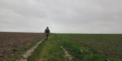 Longueil (Chemin 1)