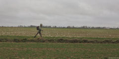 Longueil (Chemin 2)