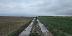 Saint Aubin sur Mer (Chemin)
