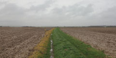 Le Bourg Dun (Chemin 2)