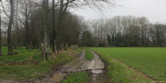 La Chapelle sur Dun (Chemin)