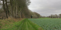 Geutteville les Grès (Chemin)