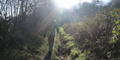 Offranville (Chemin)