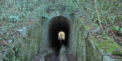 Offranville (Passage)