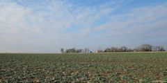 Sauqueville (Patteville)