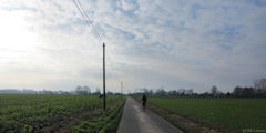 Auppegard (Colmesnil)
