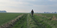 Auppegard (Chemin)