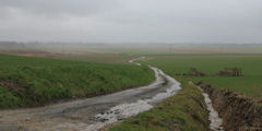 Hautot sur Mer (Chemin)
