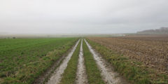 Varengeville sur Mer (Chemin)