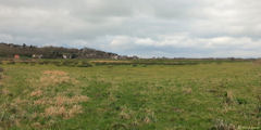 Quiberville (Vallée)