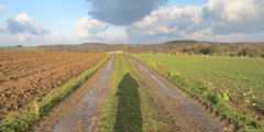 Crosville sur Scie (Chemin)
