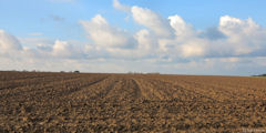 Crosville sur Scie (Plaine)