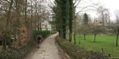 Lammerville (Flamanville 2)