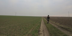 Omonville (Chemin)