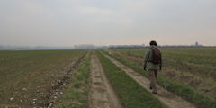 Criquetot sur Longueville (Chemin)