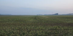 Beauval en Caux (Plaine)