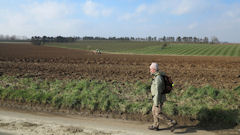 Lammerville (les Charmettes)