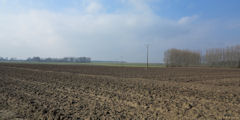 Lammerville (Plaine)