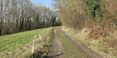 Brachy (Chemin 1)