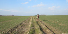 Brachy (Chemin 2)