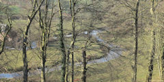 Brachy (la Saâne)