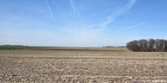 Lamberville (Plaine)