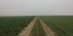 Bacqueville en Caux (Chemin)
