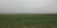 Lamberville (Plaine de Beautot)