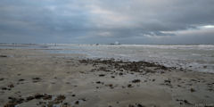 Varengeville sur Mer (Estran 4)