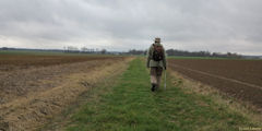 Greuville (Chemin)