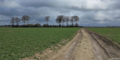 Crasville la Rocquefort (Chemin 1)