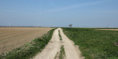 Crasville la Rocquefort (Chemin)