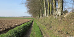 Brametot (Chemin)