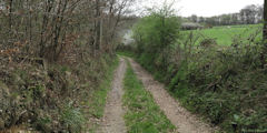 Hautot l'Auvray (Chemin 1)
