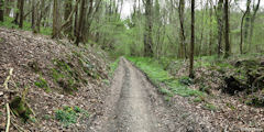 Hautot l'Auvray (Chemin 2)