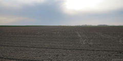Drosay (Plaine 1)