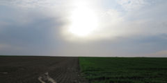 Drosay (Plaine 2)