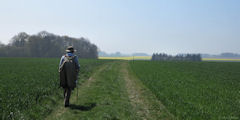 Ermenouville (Chemin)