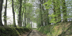 Drosay (Chemin 1)