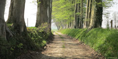 Drosay (Chemin 2)