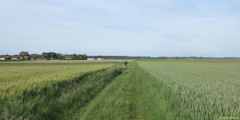 Pendé (Chemin)