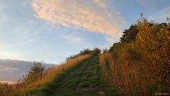 Amfreville sous les Monts (Chemin)