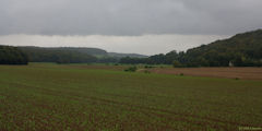Charleval (Vallée)