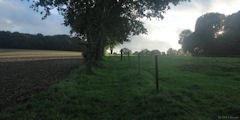 Radepont (Sente)