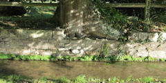 Rosay sur Lieure (Lieure 2)