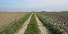 La Gaillarde (Chemin)