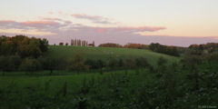 Auzouville sur Ry (Prairie)